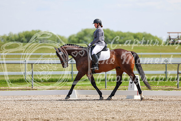 2025 - Dressage Festival - Saturday July 5th - 07048