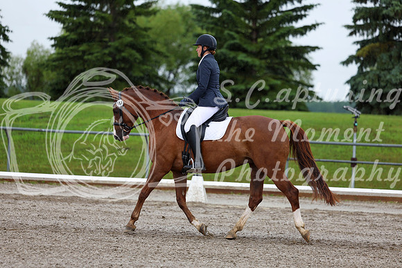 2025 - Dressage Festival - Sunday July 6th - 05234