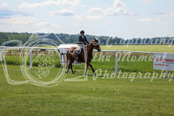 2025 - Shea - Teesdale - Friday July 25th - 03970