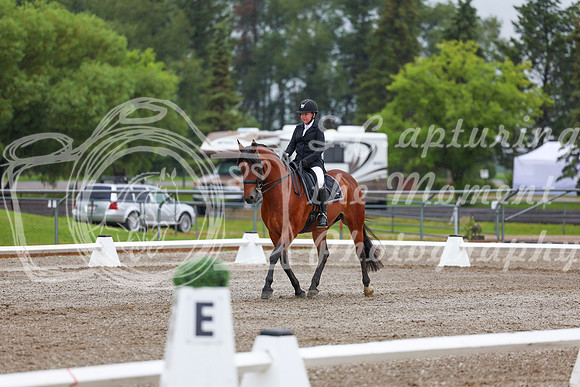 2025 - Dressage Festival - Sunday July 6th - 01063