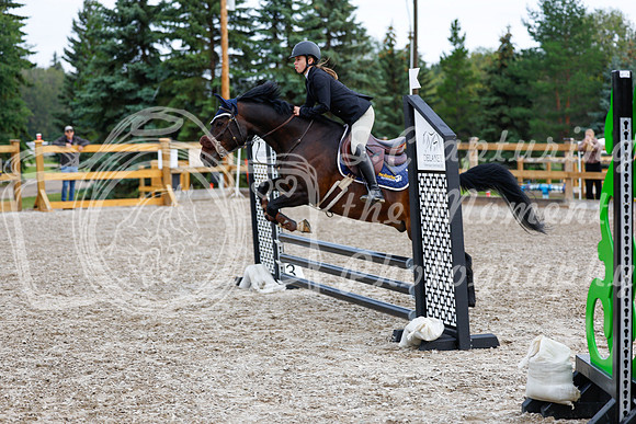 2025 - Haylee - Picco Horse Show - Saturday July 26th 00699