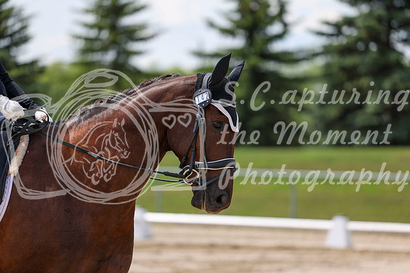 2025 - Dressage Festival - Saturday July 5th - 08466