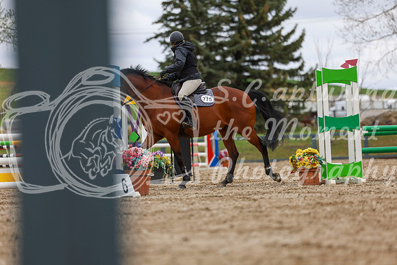 2025 - Shea - Bow Valley II - Thursday May 15th - 02881