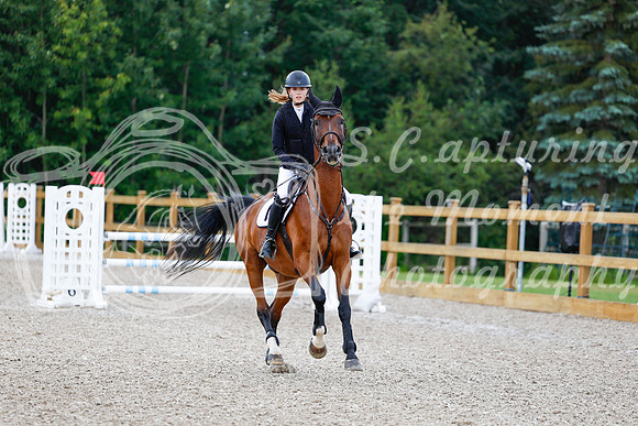 2025 - Haylee - Picco Horse Show - Sunday July 27th 04524