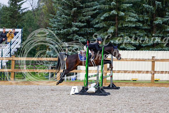 2025 - Haylee - Picco Horse Show - Sunday July 27th 01103