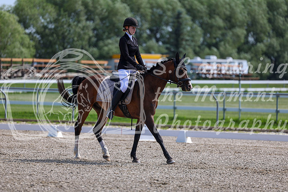 2025 - Dressage Festival - Saturday July 5th - 03101