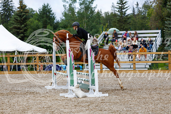 2025 - Haylee - Picco Horse Show - Sunday July 27th 02171