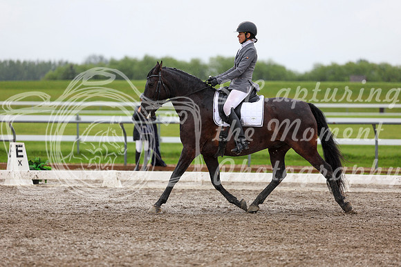 2025 - Dressage Festival - Sunday July 6th - 07011