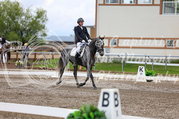 2025 - Dressage Festival - Sunday July 6th - 09865