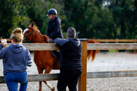 2025 - Haylee - Picco Horse Show - Saturday July 26th 00010