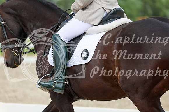 2025 - Dressage Festival - Saturday July 5th - 10656