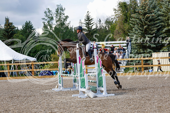 2025 - Haylee - Picco Horse Show - Sunday July 27th 02943