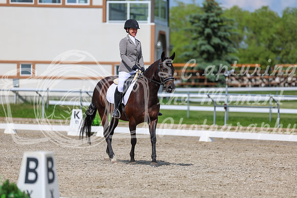 2025 - Dressage Festival - Saturday July 5th - 14605