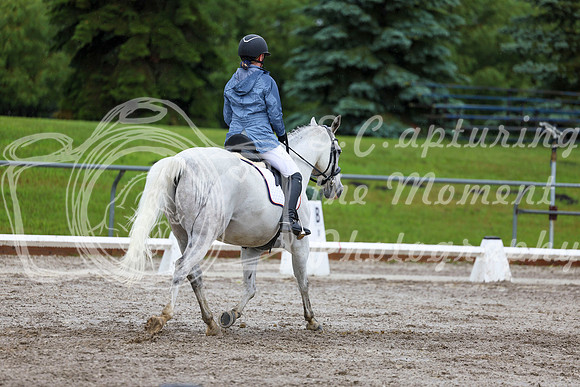 2025 - Dressage Festival - Sunday July 6th - 04903