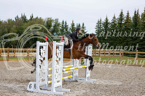 2025 - Haylee - Picco Horse Show - Friay July 25th 01628