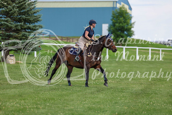 2025 - Shea - Teesdale - Thursday July 24th - 03260