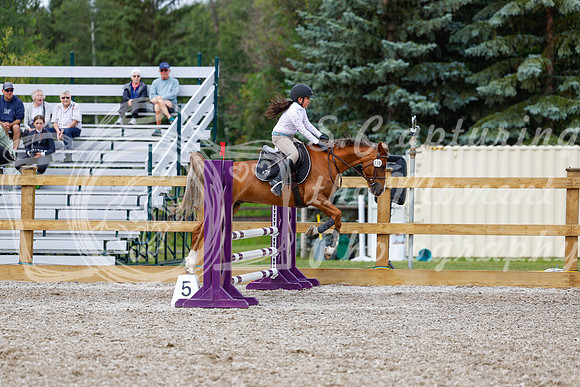 2025 - Haylee - Picco Horse Show - Friay July 25th 01663