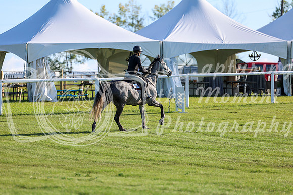2025 - Shea - Teesdale - Friday July 25th - 03394