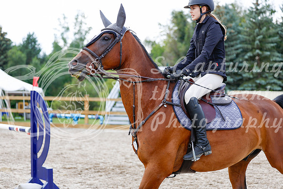 2025 - Haylee - Picco Horse Show - Saturday July 26th 06831