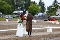 2025 - Dressage Festival - Sunday July 6th - 05215