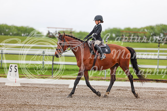 2025 - Dressage Festival - Sunday July 6th - 01841