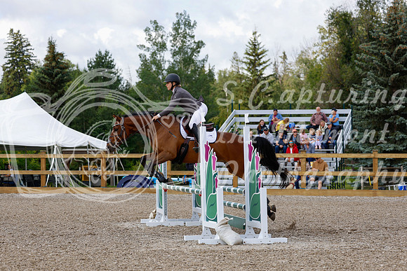 2025 - Haylee - Picco Horse Show - Sunday July 27th 02580