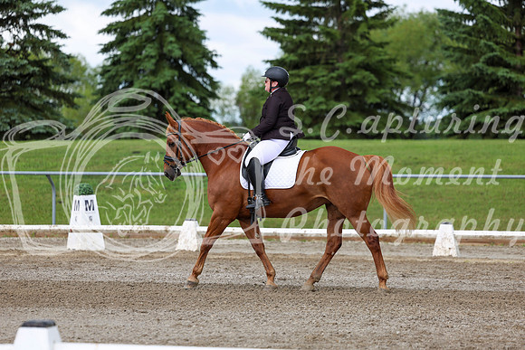 2025 - Dressage Festival - Sunday July 6th - 11339
