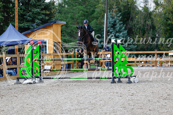 2025 - Haylee - Picco Horse Show - Sunday July 27th 06669