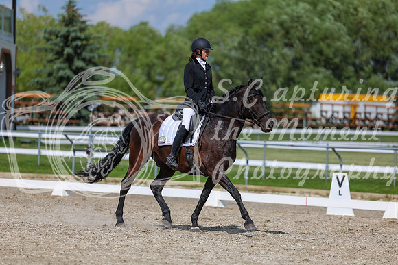 2025 - Dressage Festival - Saturday July 5th - 15221