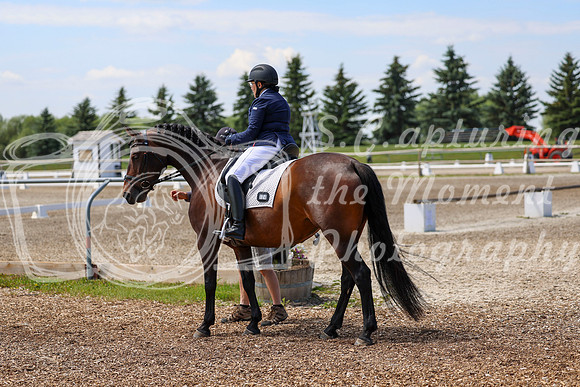 2025 - Dressage Festival - Saturday July 5th - 05984