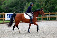 2025 - Haylee - Picco Horse Show - Saturday July 26th 01010