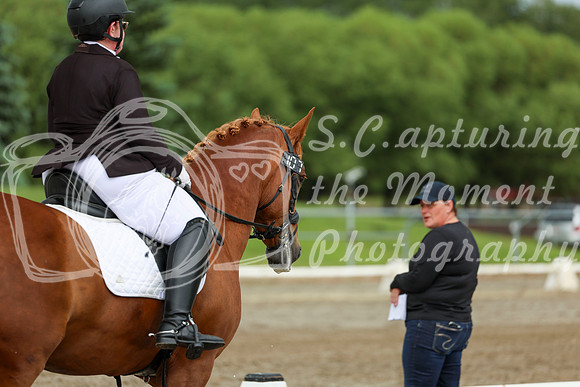 2025 - Dressage Festival - Sunday July 6th - 11267