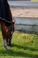 2025 - Mykenzi - Jump With Hope - Thursday July 17th 00013