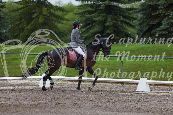 2025 - Dressage Festival - Sunday July 6th - 00632