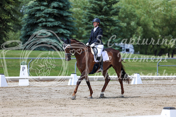 2025 - Dressage Festival - Saturday July 5th - 08478