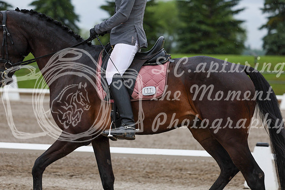 2025 - Dressage Festival - Sunday July 6th - 00605