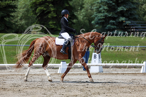 2025 - Dressage Festival - Saturday July 5th - 10140