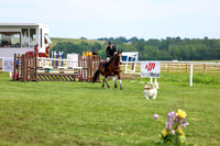 2025 - Shea - Teesdale - Thursday July 24th - 04525