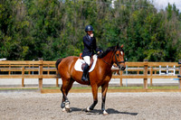 2025 - Haylee - Picco Horse Show - Sunday July 27th 05543