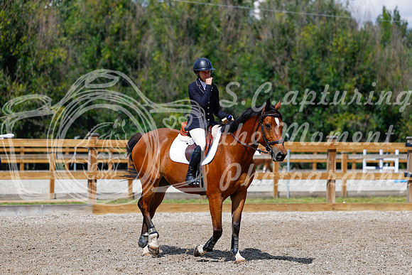 2025 - Haylee - Picco Horse Show - Sunday July 27th 05543