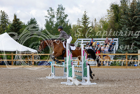 2025 - Haylee - Picco Horse Show - Sunday July 27th 02579