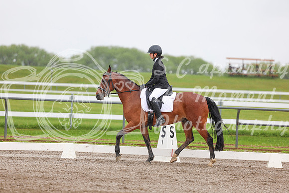 2025 - Dressage Festival - Sunday July 6th - 02999