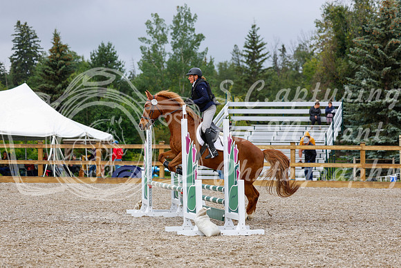 2025 - Haylee - Picco Horse Show - Sunday July 27th 01389