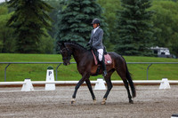 2025 - Dressage Festival - Sunday July 6th - 00609