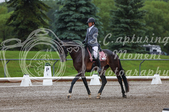 2025 - Dressage Festival - Sunday July 6th - 00609