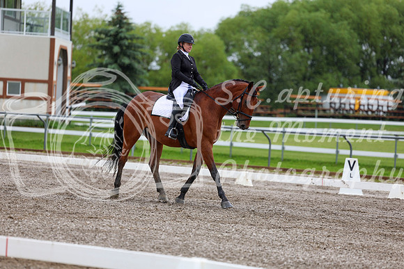 2025 - Dressage Festival - Sunday July 6th - 05003