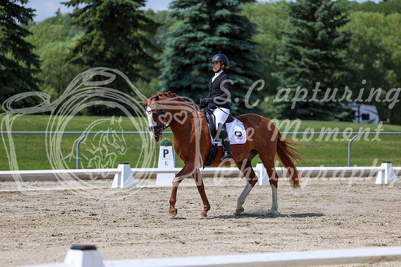 2025 - Dressage Festival - Saturday July 5th - 10079
