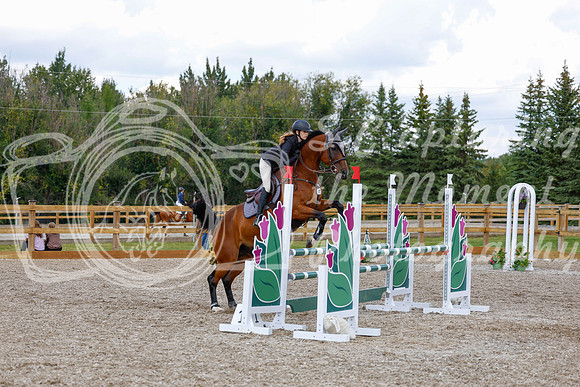 2025 - Haylee - Picco Horse Show - Saturday July 26th 06833
