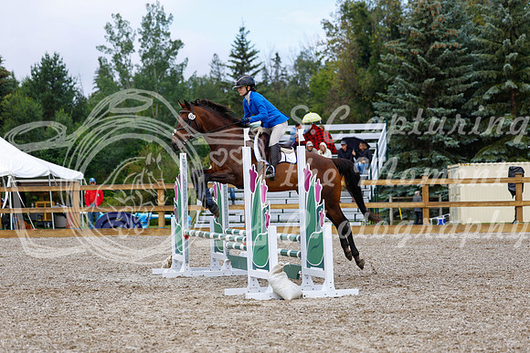 2025 - Haylee - Picco Horse Show - Sunday July 27th 01783