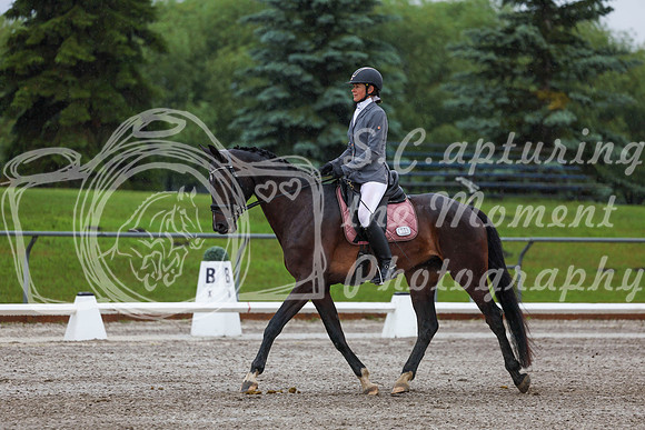 2025 - Dressage Festival - Sunday July 6th - 00621